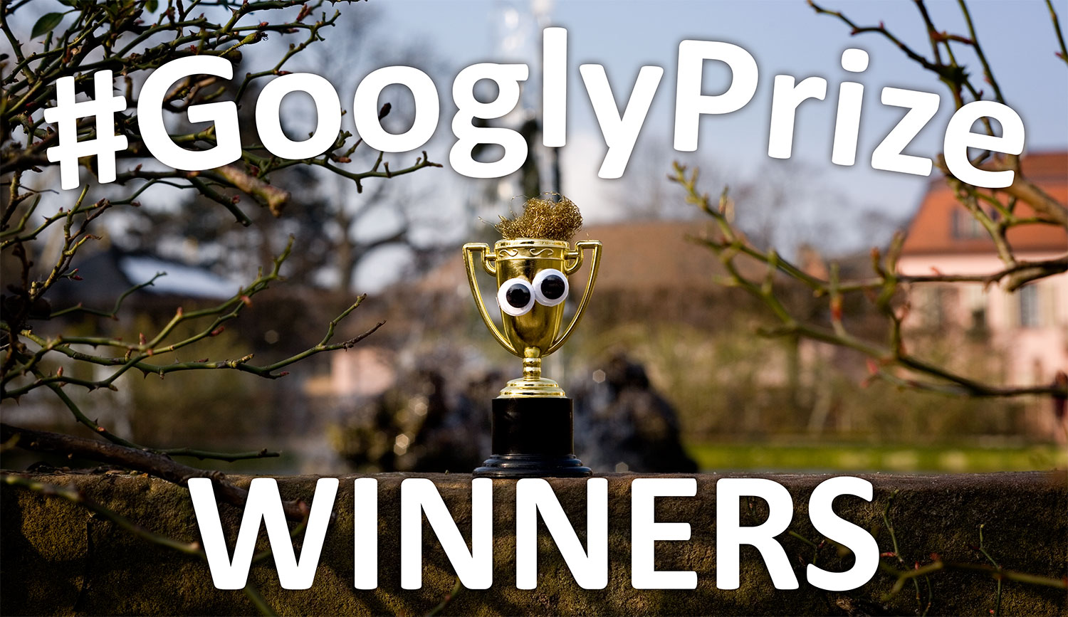GooglyPrize Winners 31