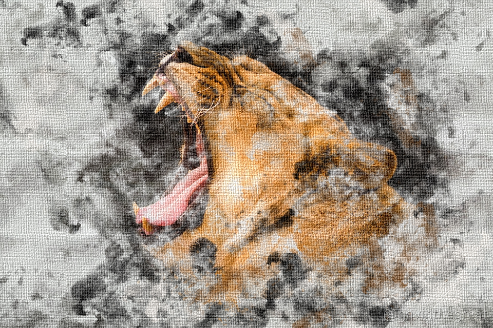 Lion Watercolor.jpg