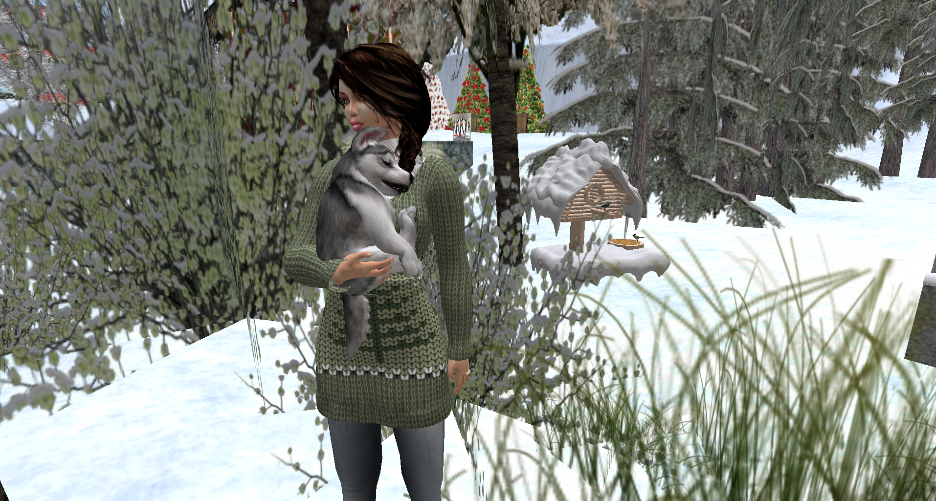 Snapshot_035.png