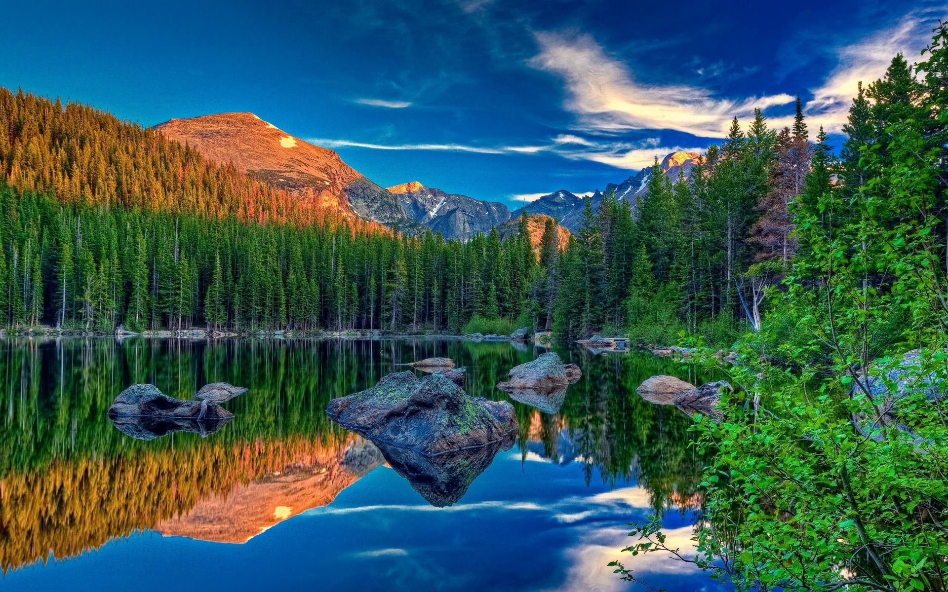 ws_Amazing_Pine_Forest_Lake_Rocks_1920x1200.jpg