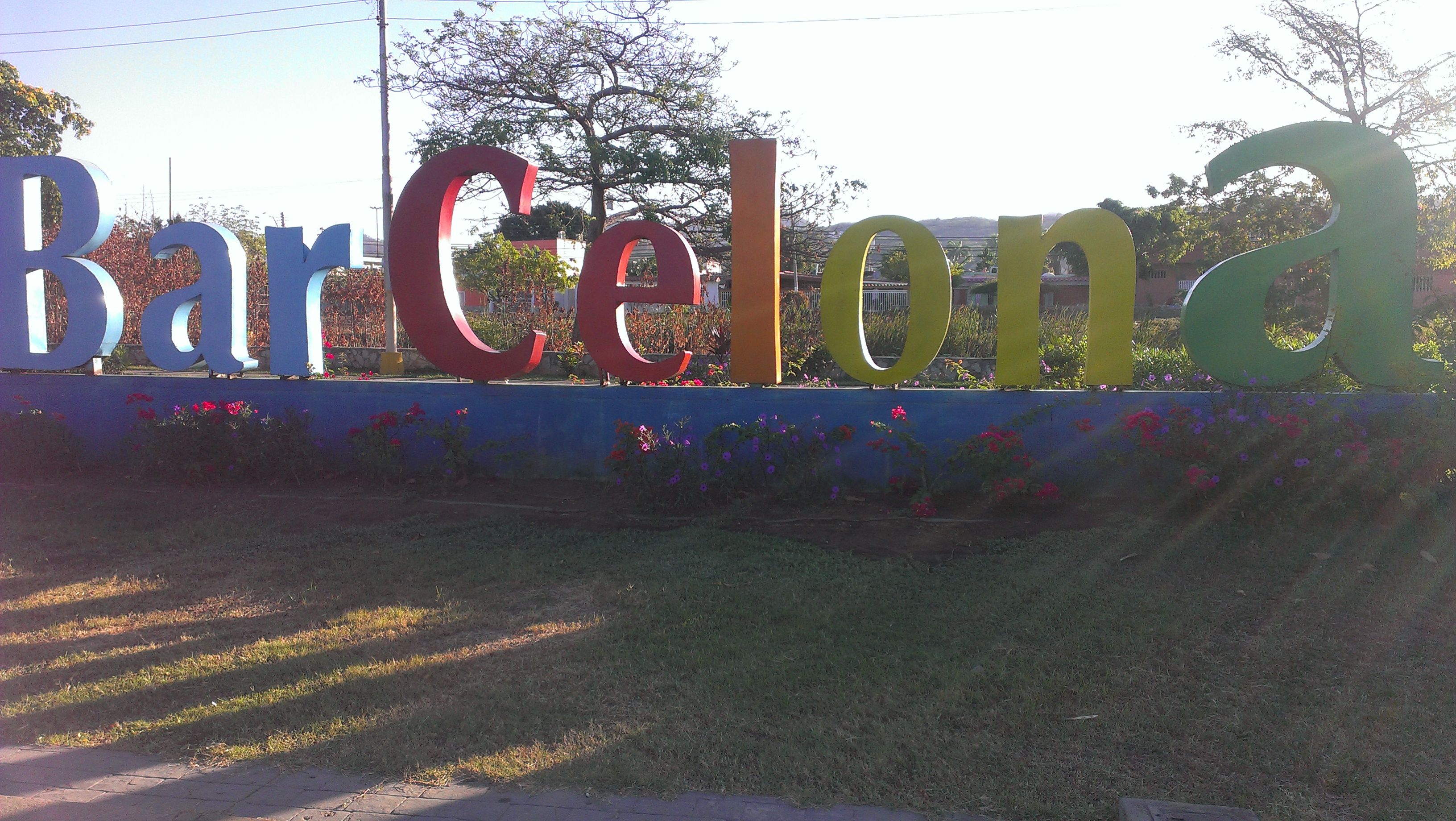 IMAG0295.jpg