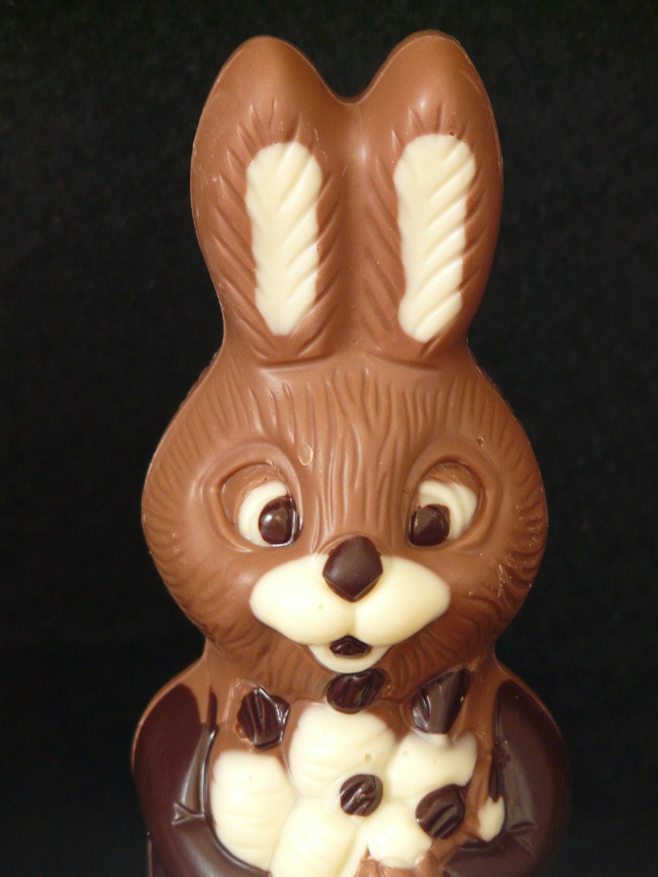 easter-bunny-7950_1280.jpg