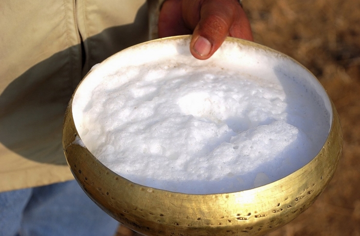 Camel Milk.jpg