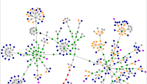 network effects.png