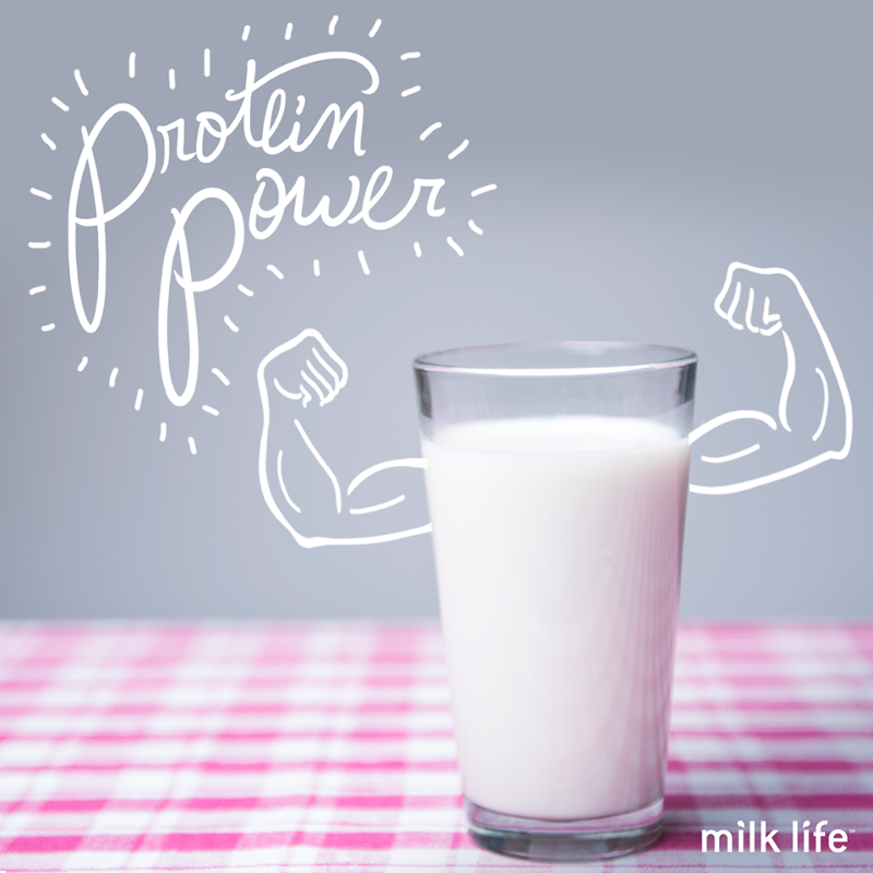 milk-life-1.png