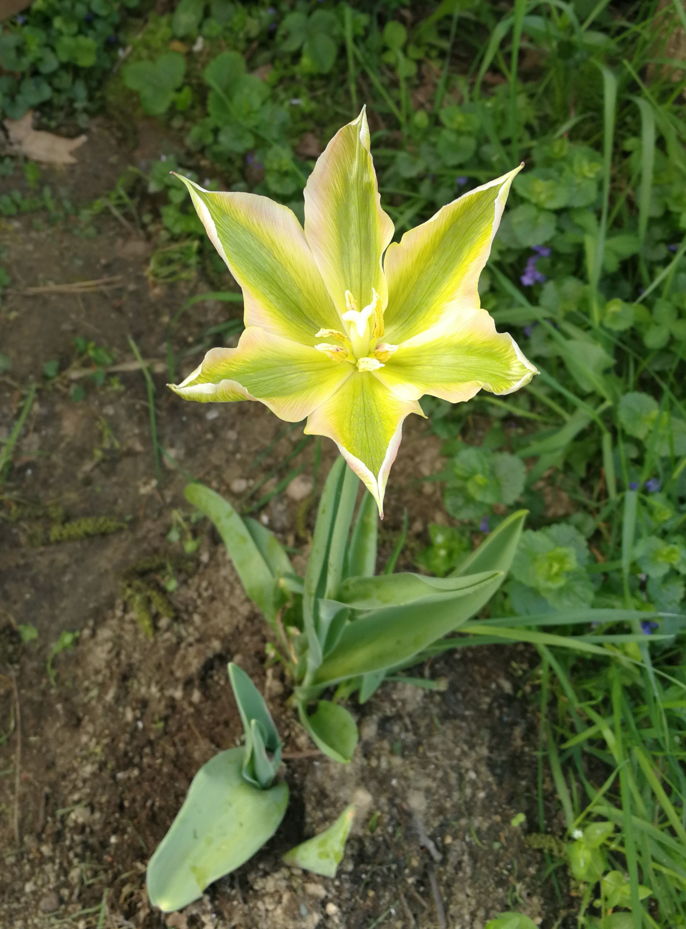 2018-04-24 11.06.04-2.jpg