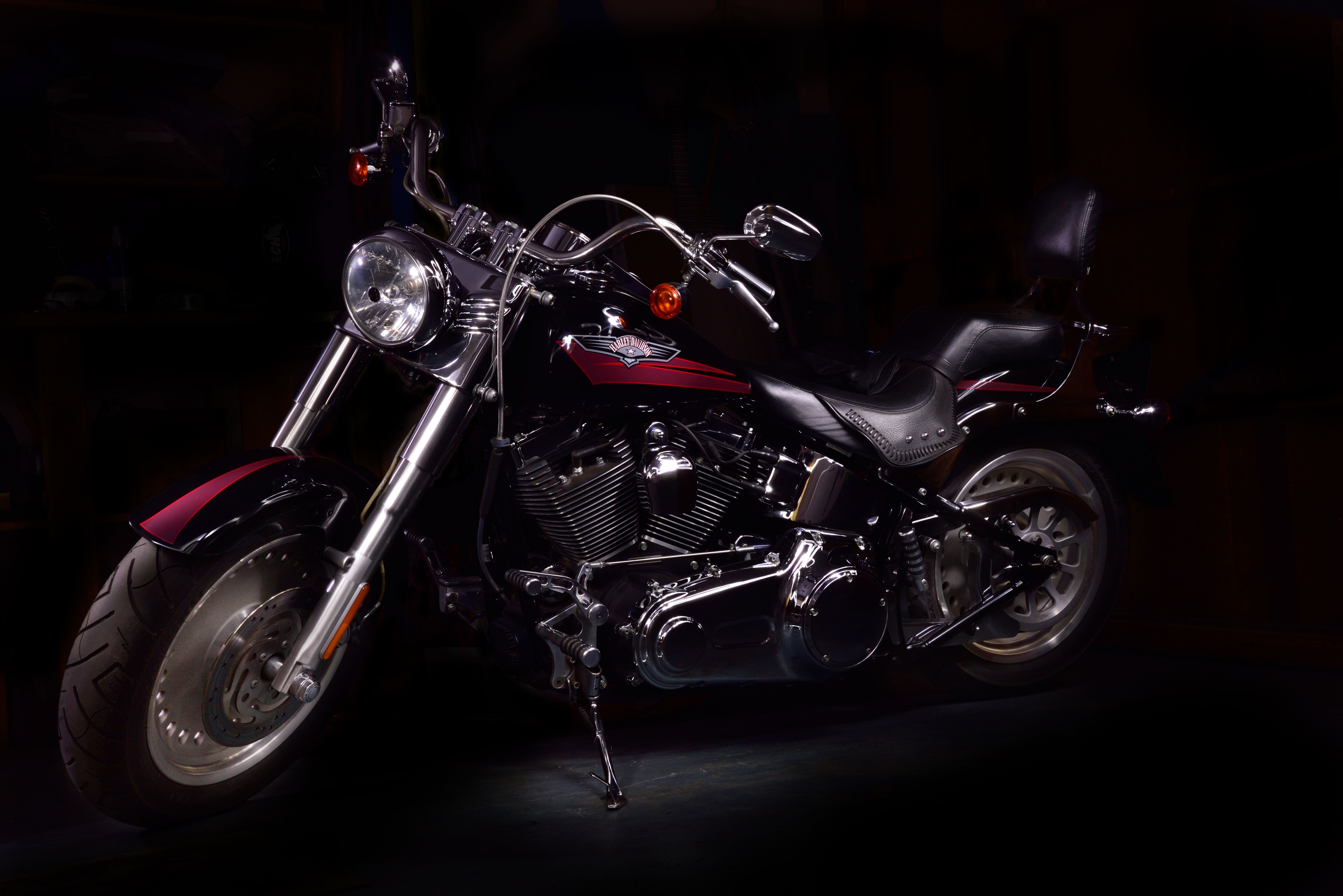 DSC_4419_Harley.jpg