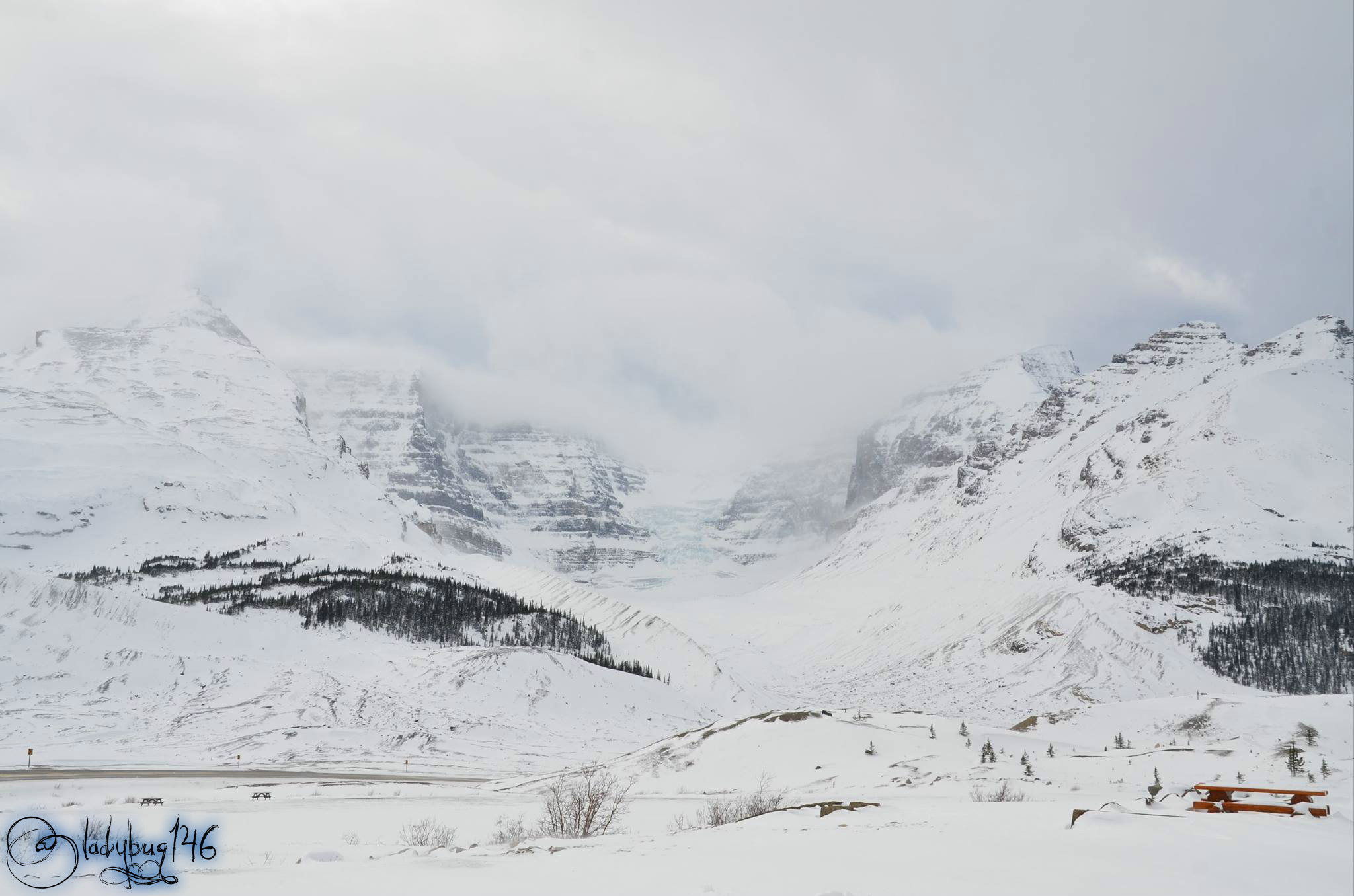 columbia ice fields7.jpg