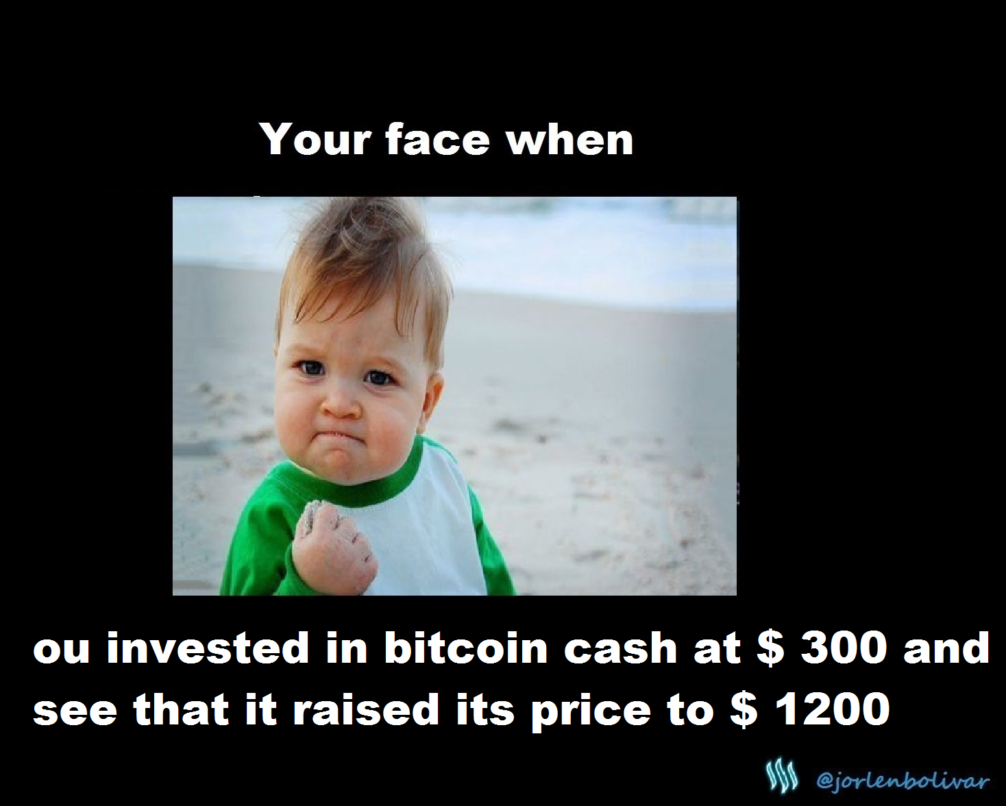 Bitcoin Cash Meme Lol Your Face When 36 Steemit - 