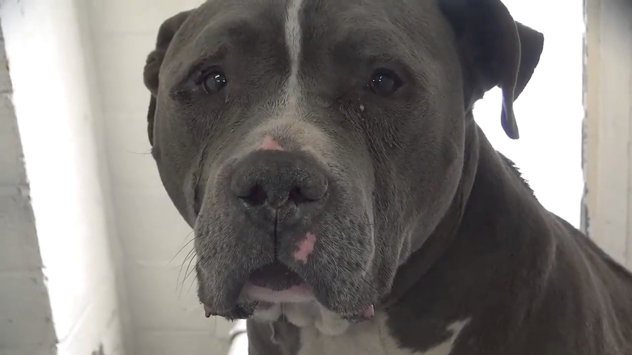 maxresdefault (1).jpg