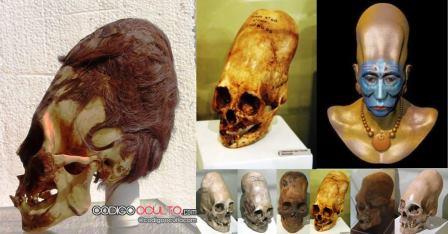 craneos-paracas-skull.jpg