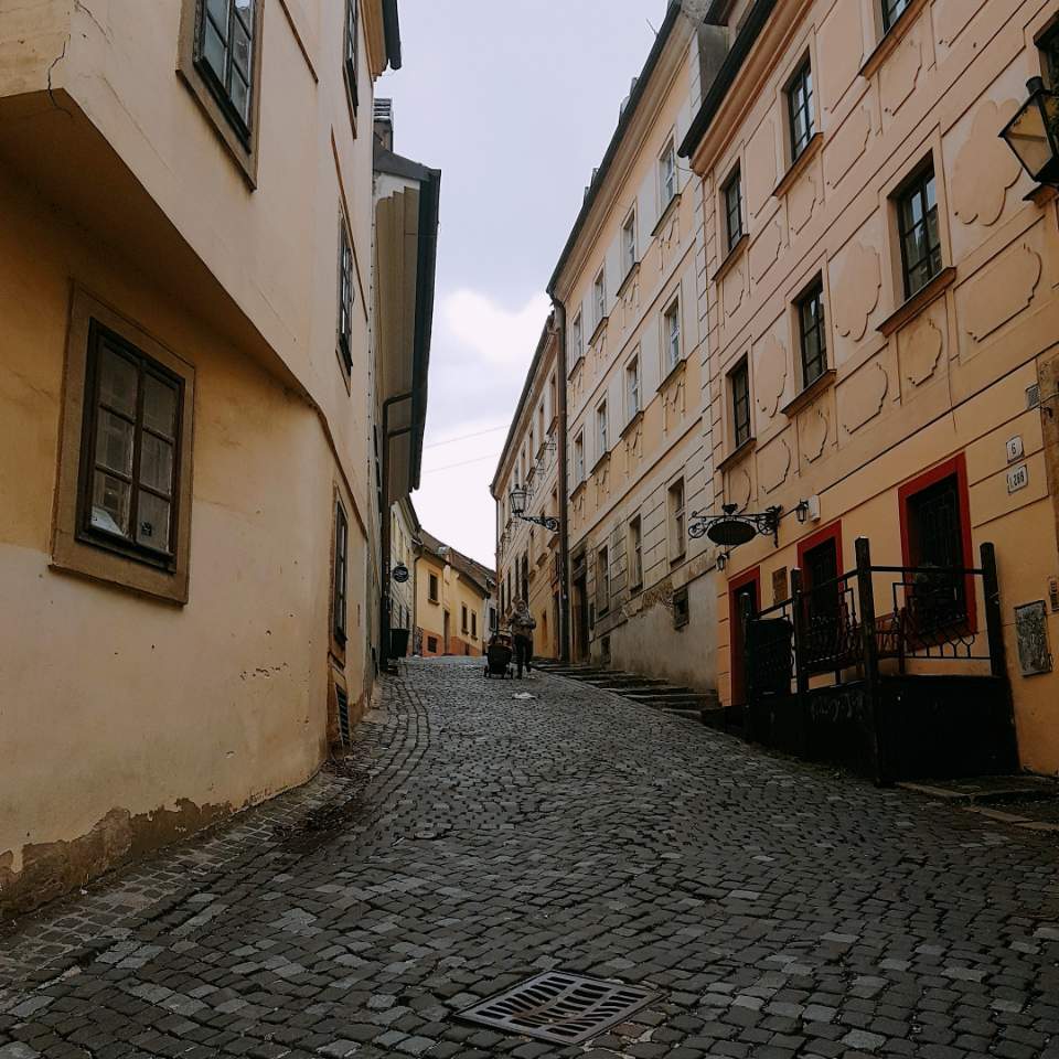 부자(父子)의 동유럽 여행기 #9] 당일치기로 여행하기 딱 좋은 브라티슬라바!! — Steemit