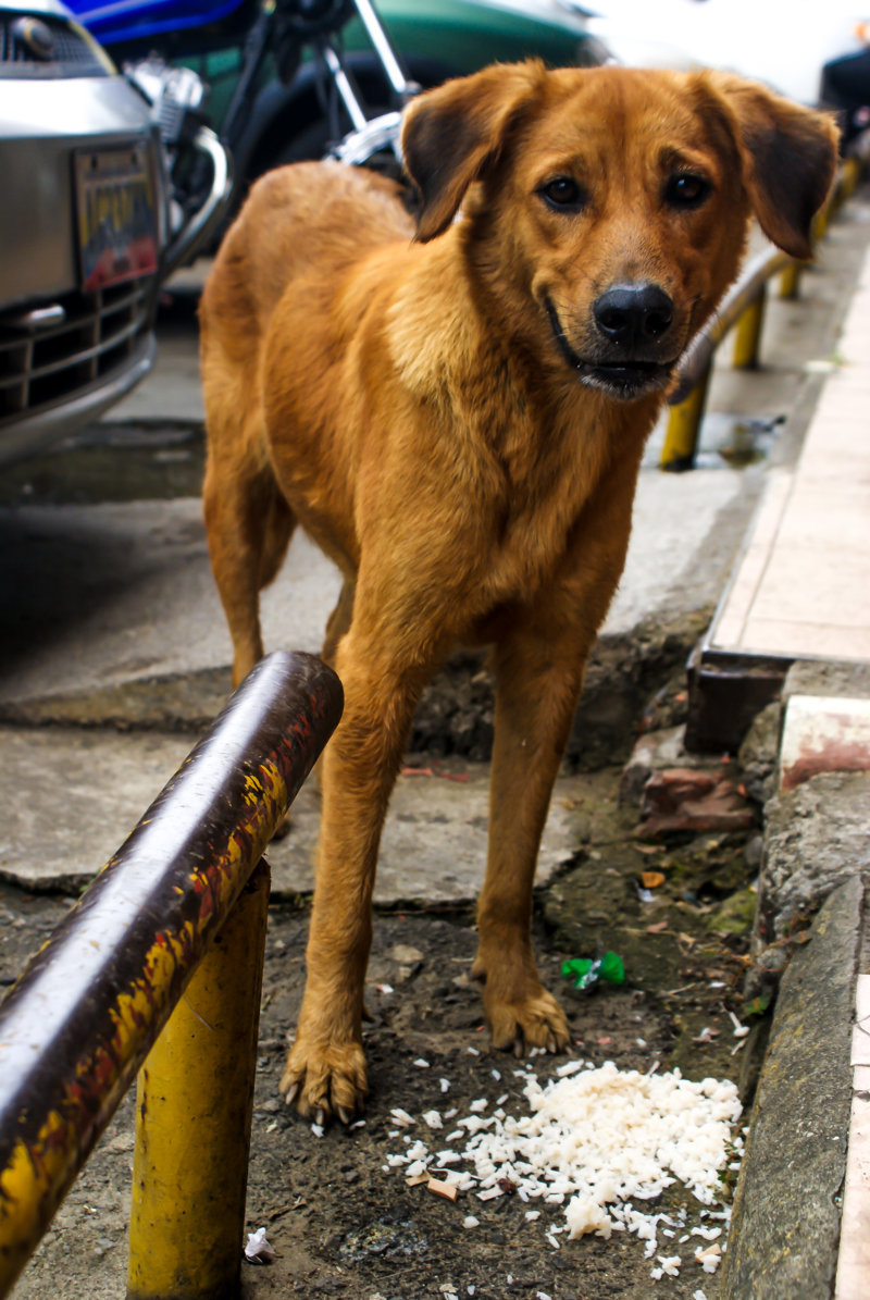 DSC07915 (FILEminimizer).jpg