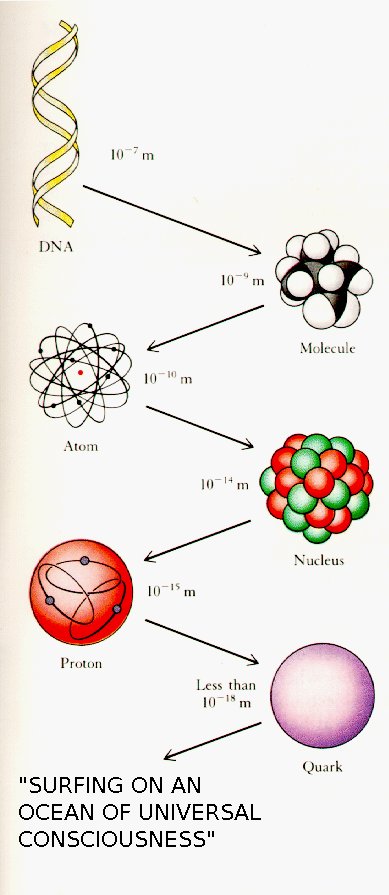 DNA_quark.jpg