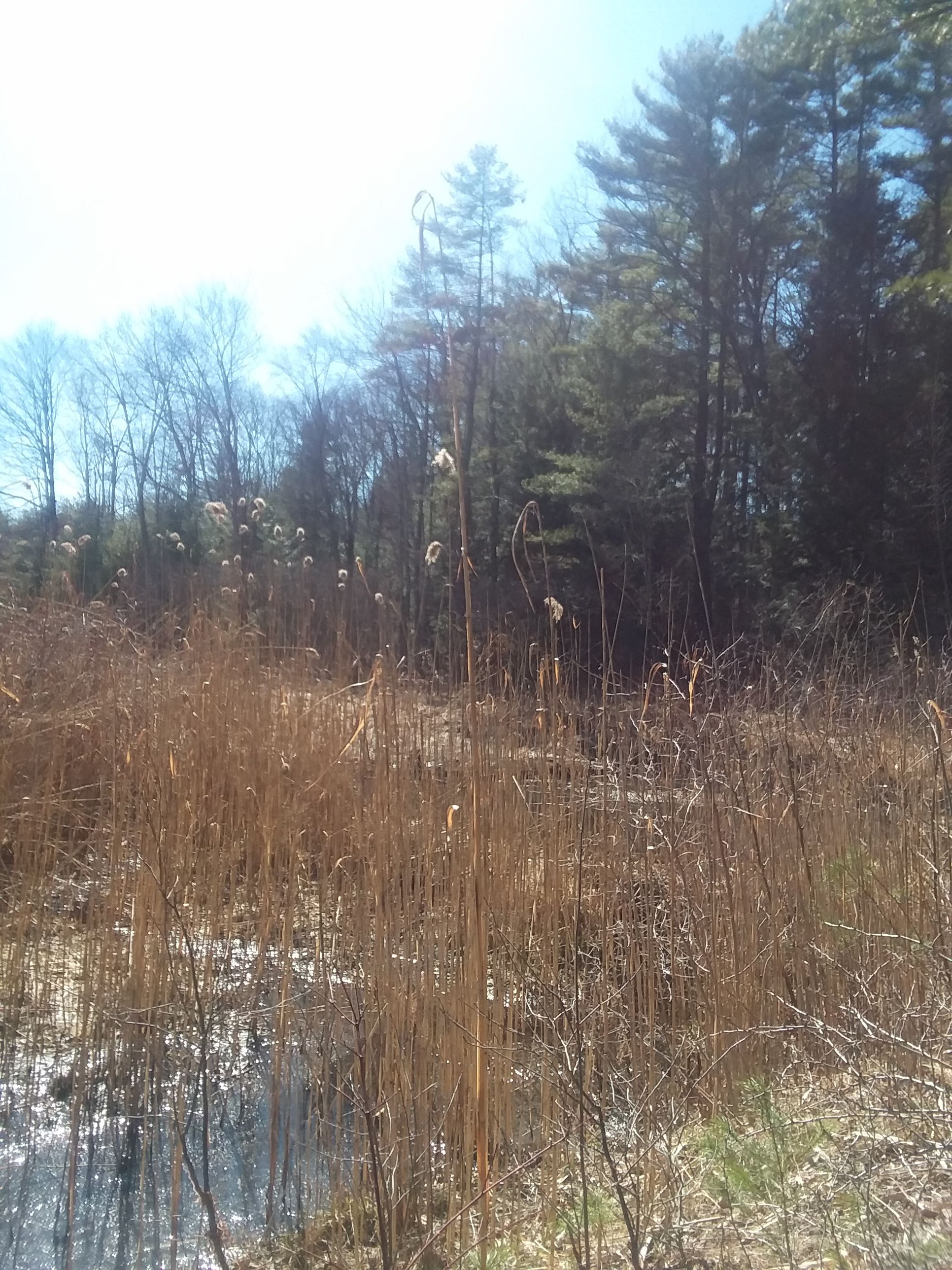 20180421_154056.jpg
