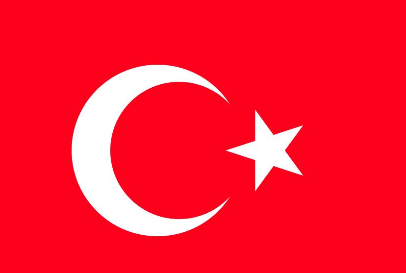 türk bayrağı.JPG