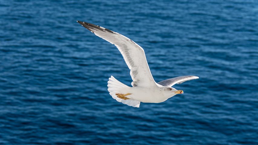 waters-3044903__480.jpg
