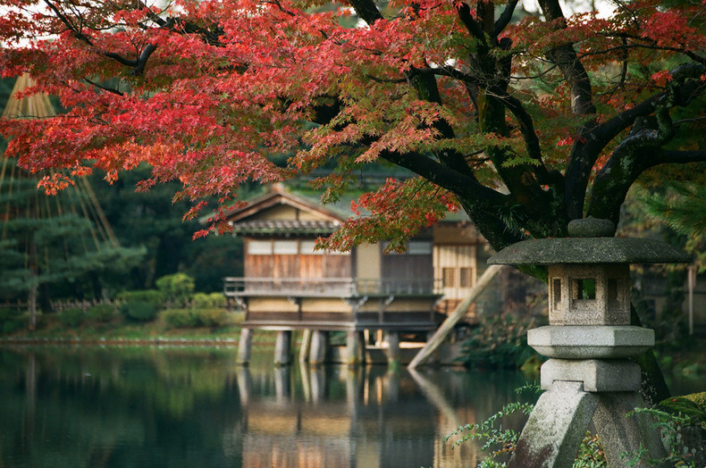 Kanazawa-Autumn-3822-752.jpg