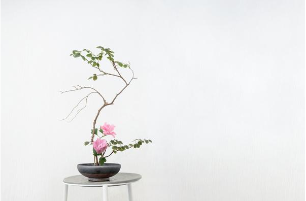QQ图片20180121142929.png
