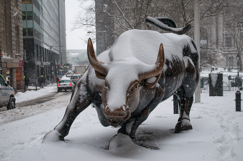 15-05-28-winter-bull.jpg