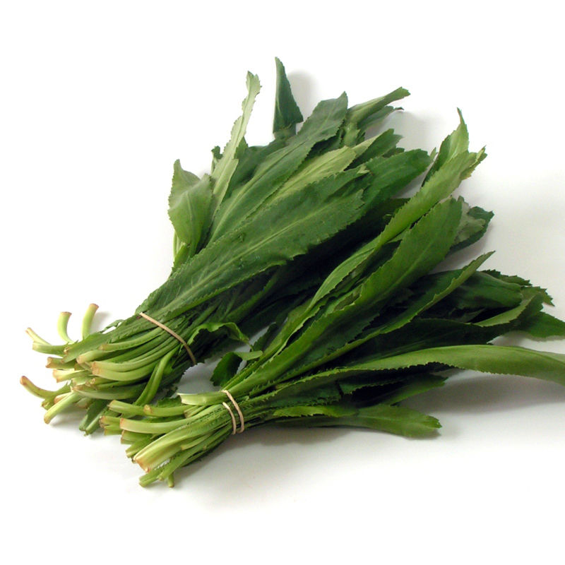 Culantro-Seed-Eryngium-Foetidum-cilantro-Perejil-Mexicana-Ngo-Gai-Thai-Hierba-Semilla-de-Cilantro-ancho.jpg