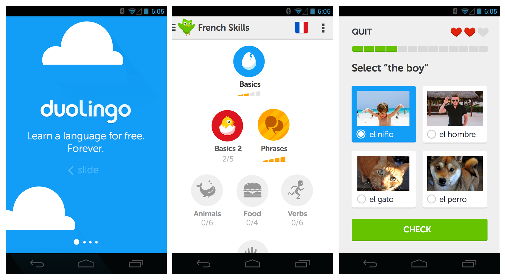 duolingo_screenshots.png