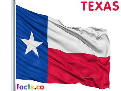 texasflag.png