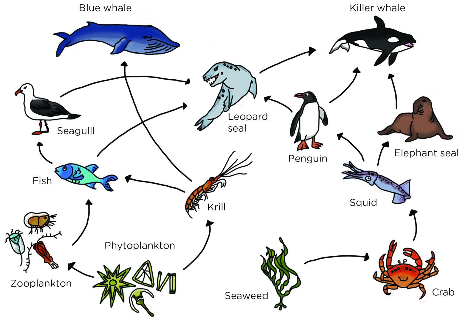 13578843423_b822a78c68_o.png
