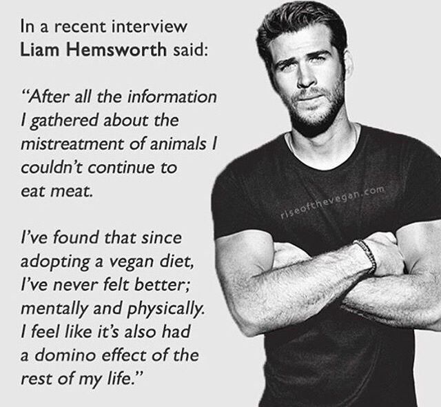 liam hemsworth vegan.jpg