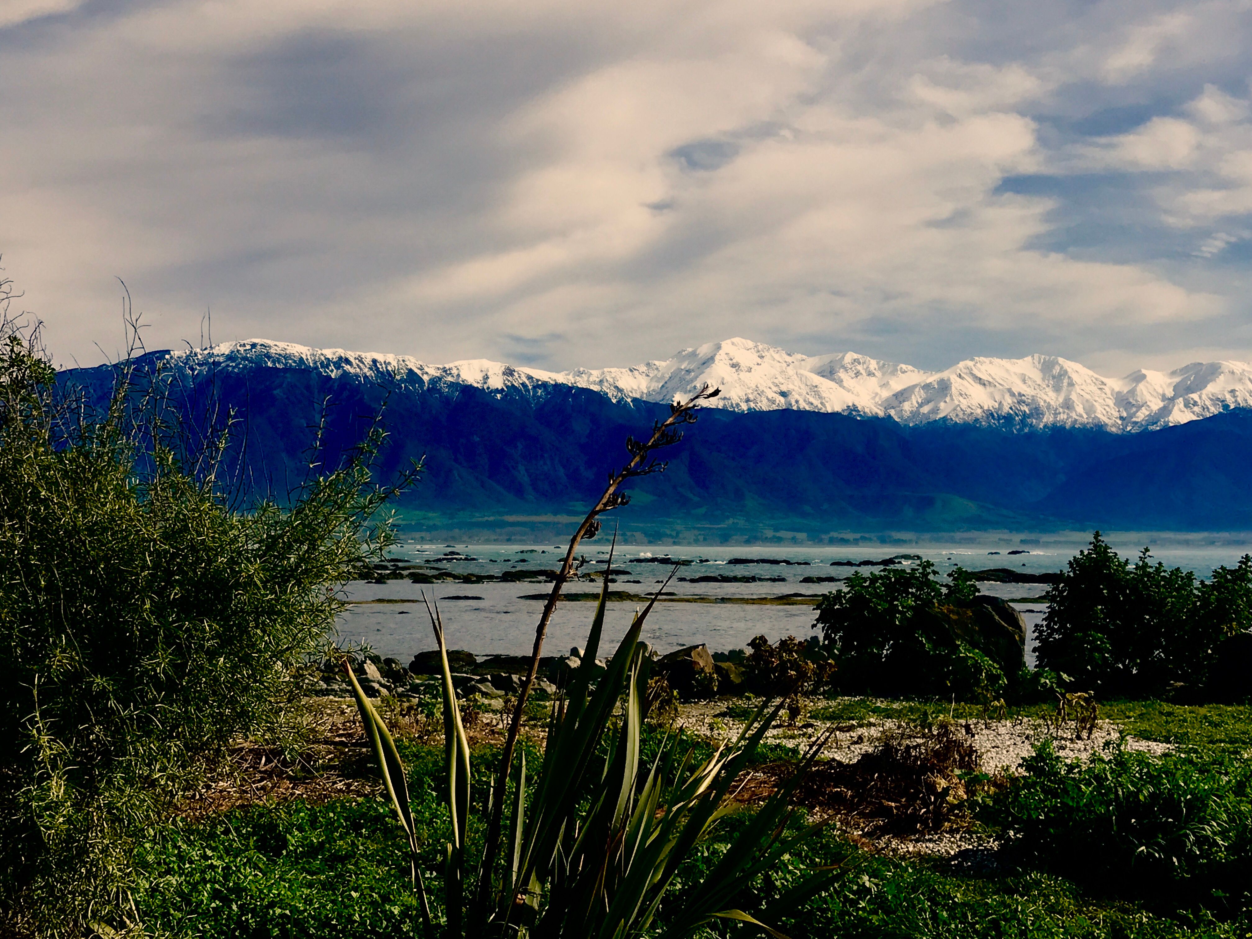 #1 This is the South Island of New Zealand