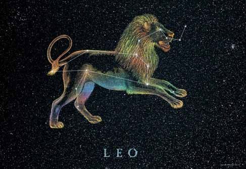 leo.jpg