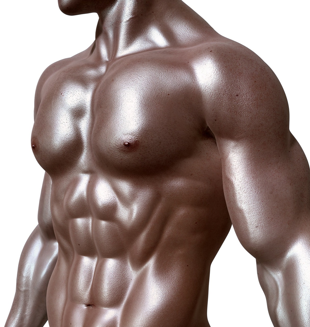 331670_M.jpg