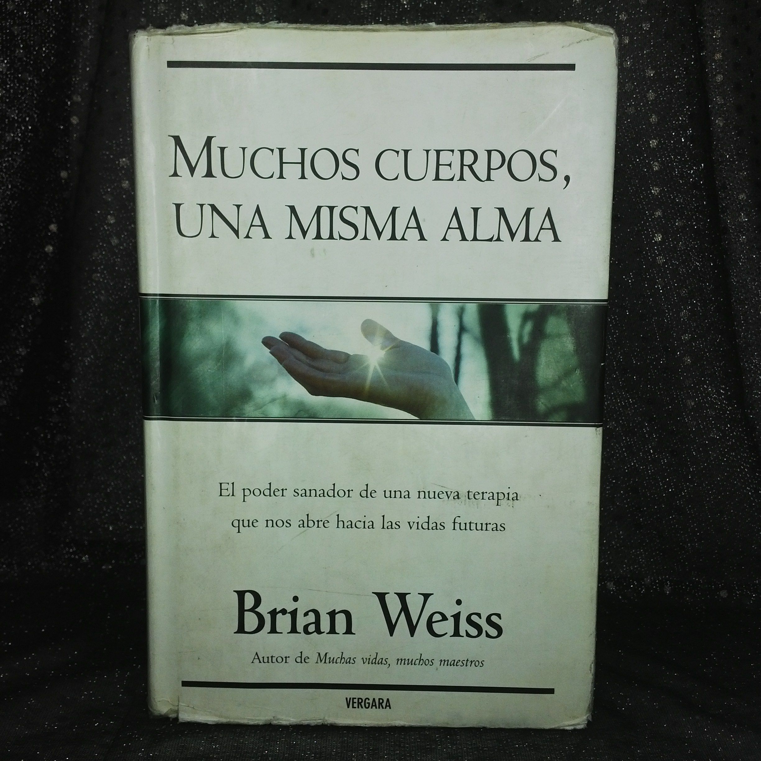 Muchos Cuerpos Una Misma Alma Steemkr
