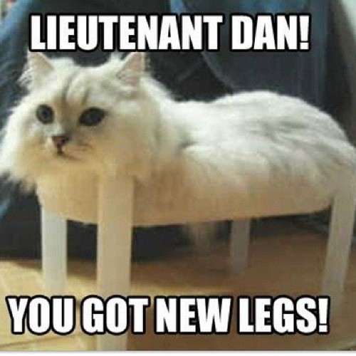 Lieutenant Dan You Got New Legs.jpg
