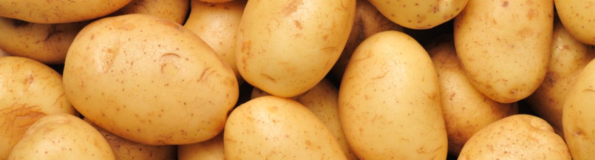 potatis-1200x330.jpg