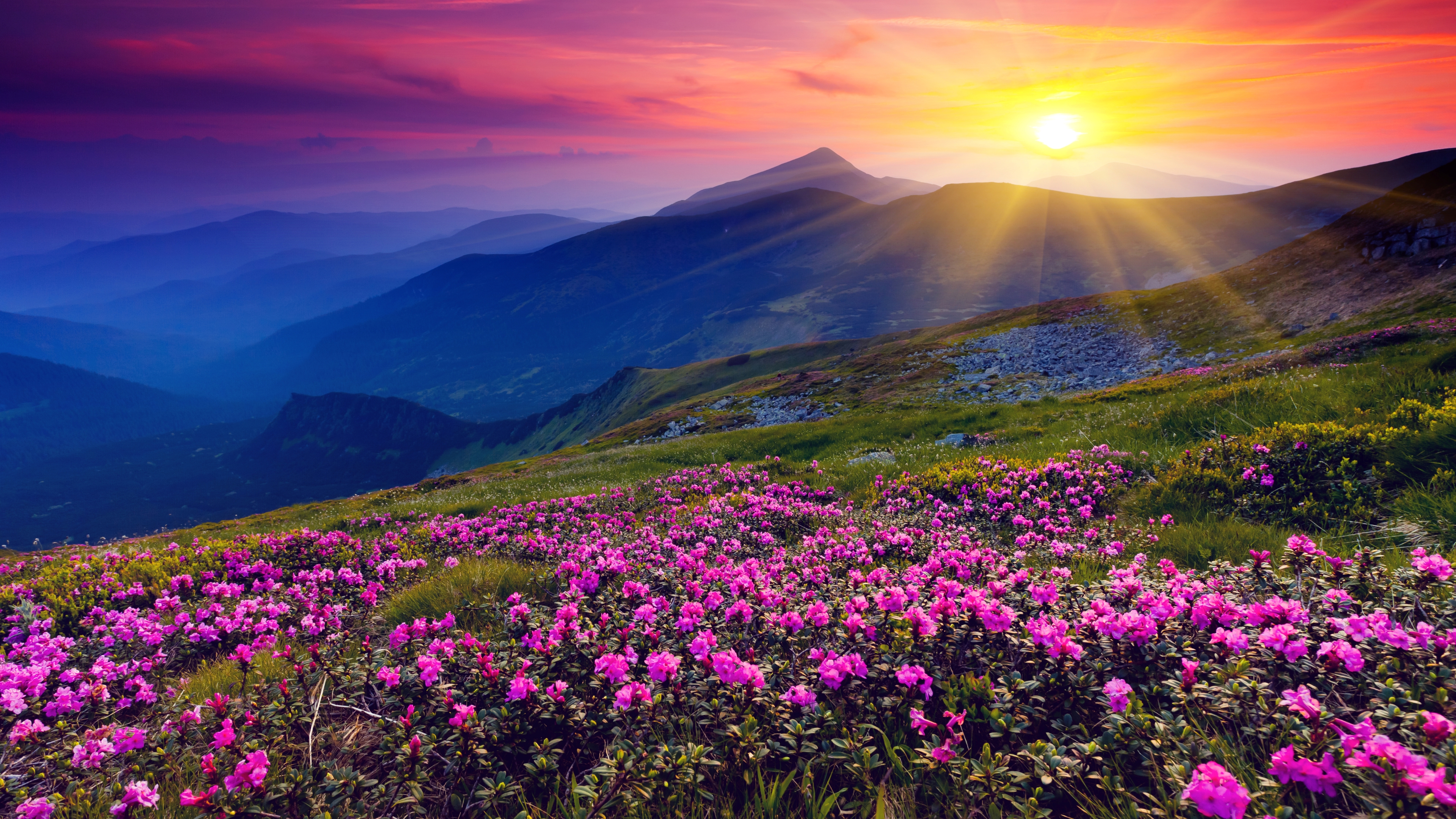 Sunset Mountain 4K Wallpaper  Free High Definition Wallpaper.jpeg