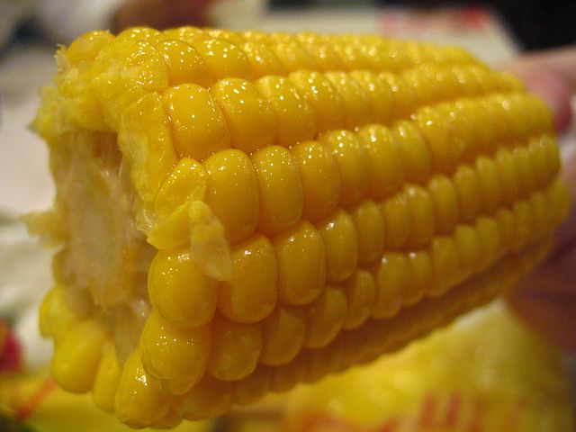 corn-400756__480.jpg