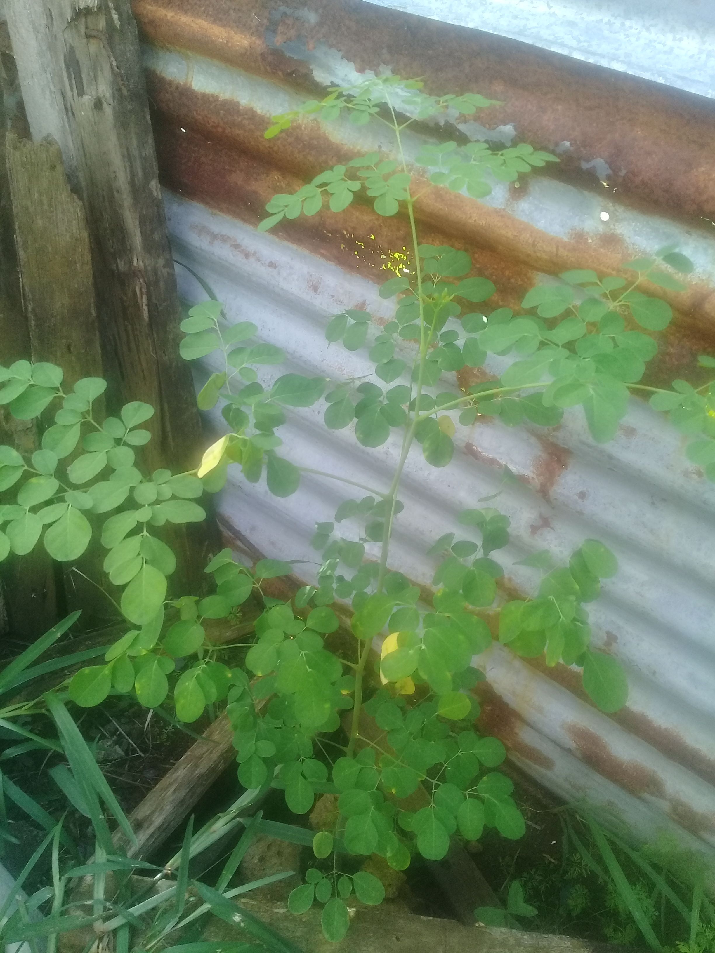 20170706_110104.jpg