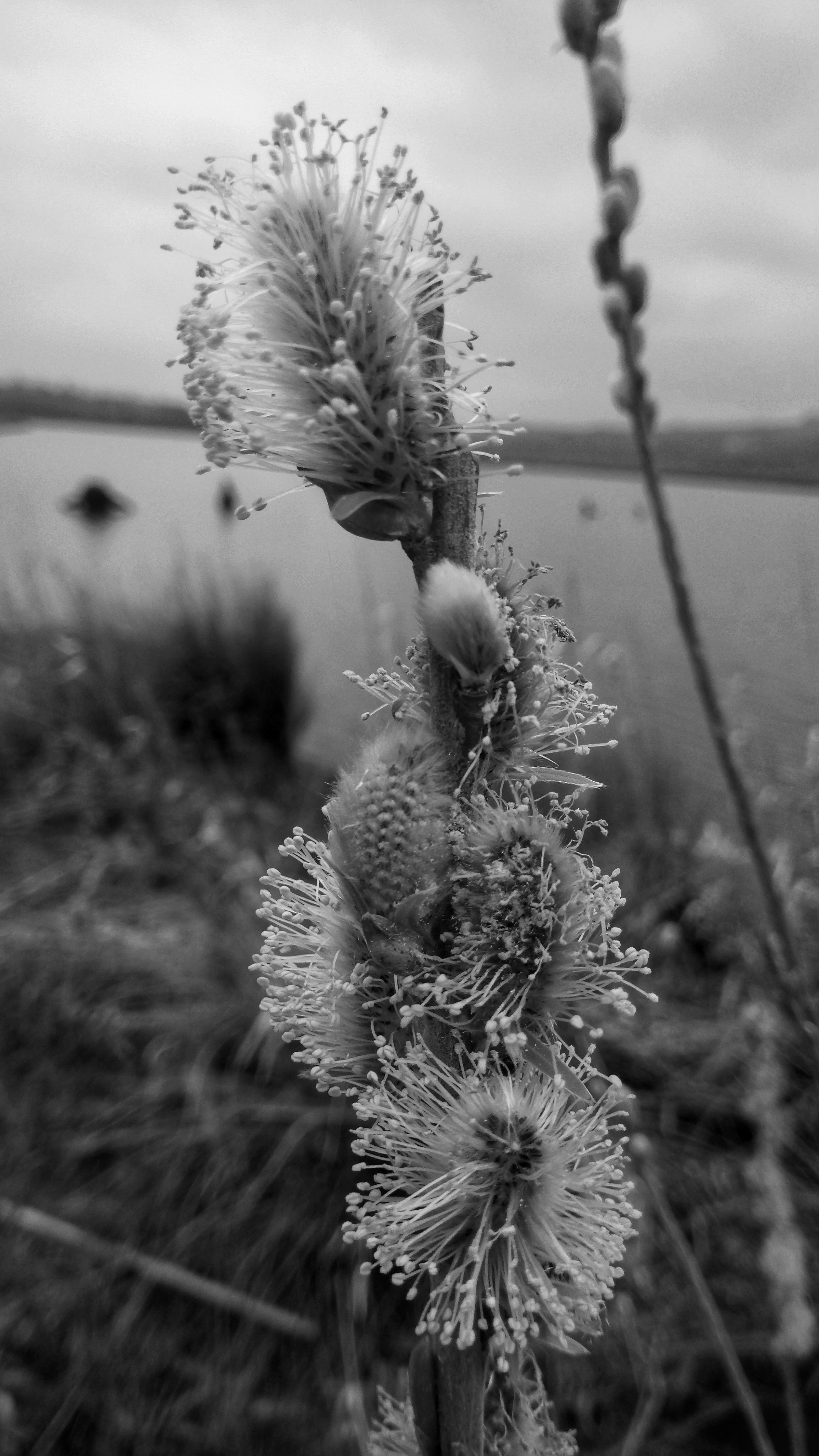 DSC_0896-01.jpeg