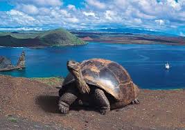 galápagos.jpg