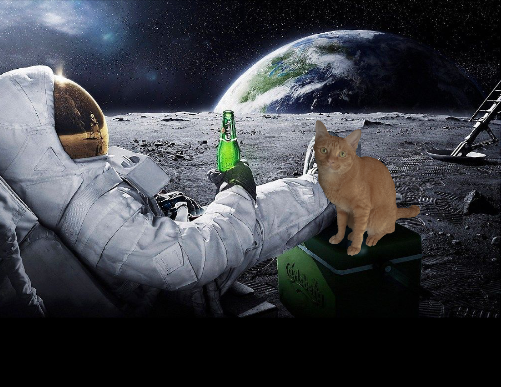 Космонавт на Луне. Космонавт с пивом на Луне. Коты космонавты. Кот на Луне.