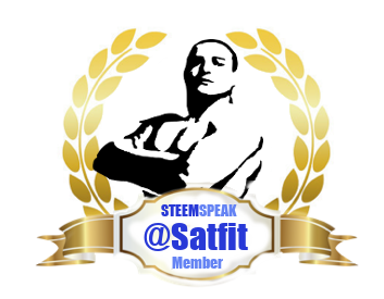 satfit_badge.png