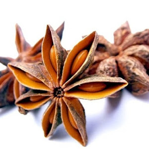 illicium.jpg