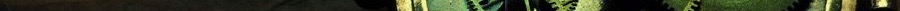 tick_by_undrtheskysoblue-d2ylcm2 4.jpg