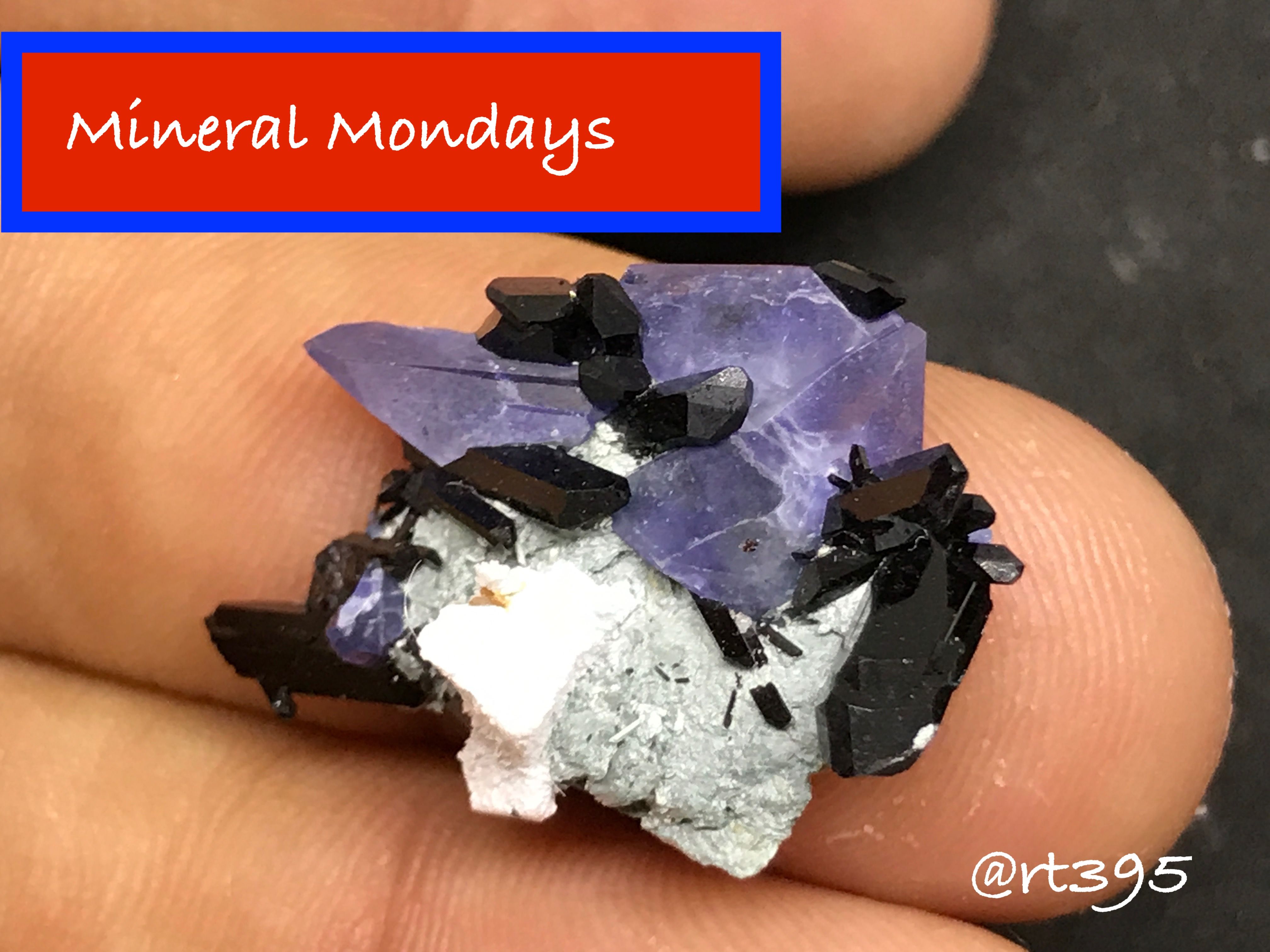 Mineral Mondays 21 Neptunite ミネラル モンデーズ 21 ネプチュナイト Steemit