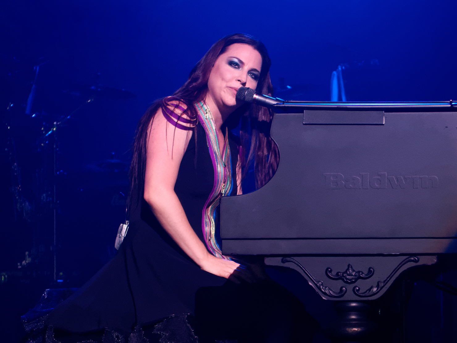 Evanescence_at_The_Wiltern_theatre_in_Los_Angeles,_California_04_(cropped).jpg