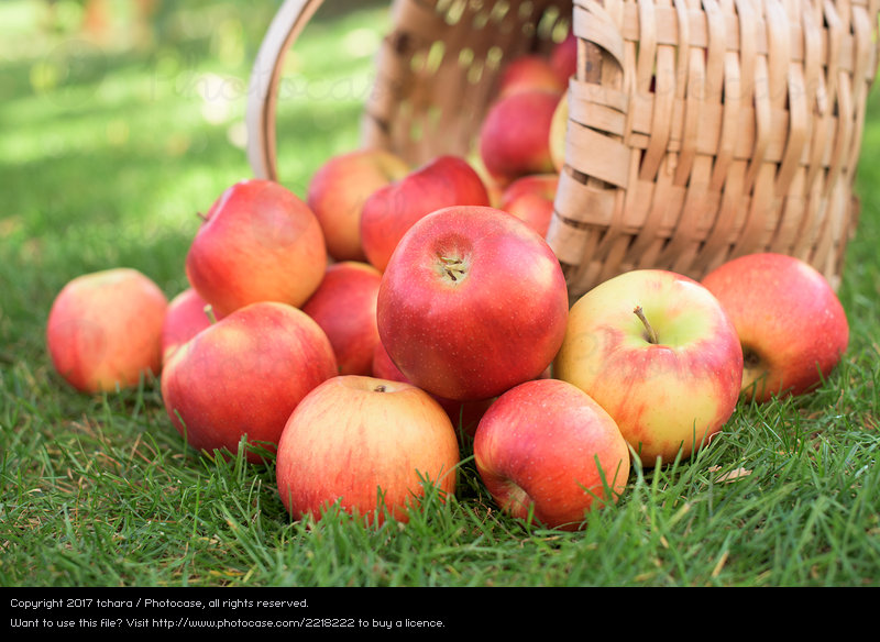 2218222-red-apples-nature-plant-summer-colour-green-white-photocase-stock-photo-large.jpeg