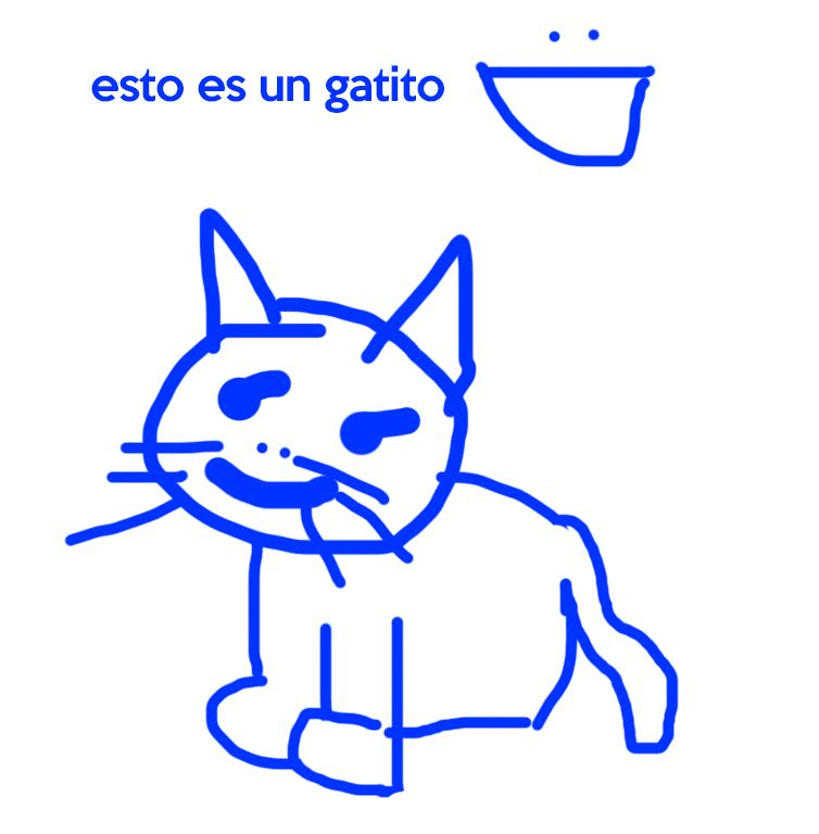 gatito.jpg