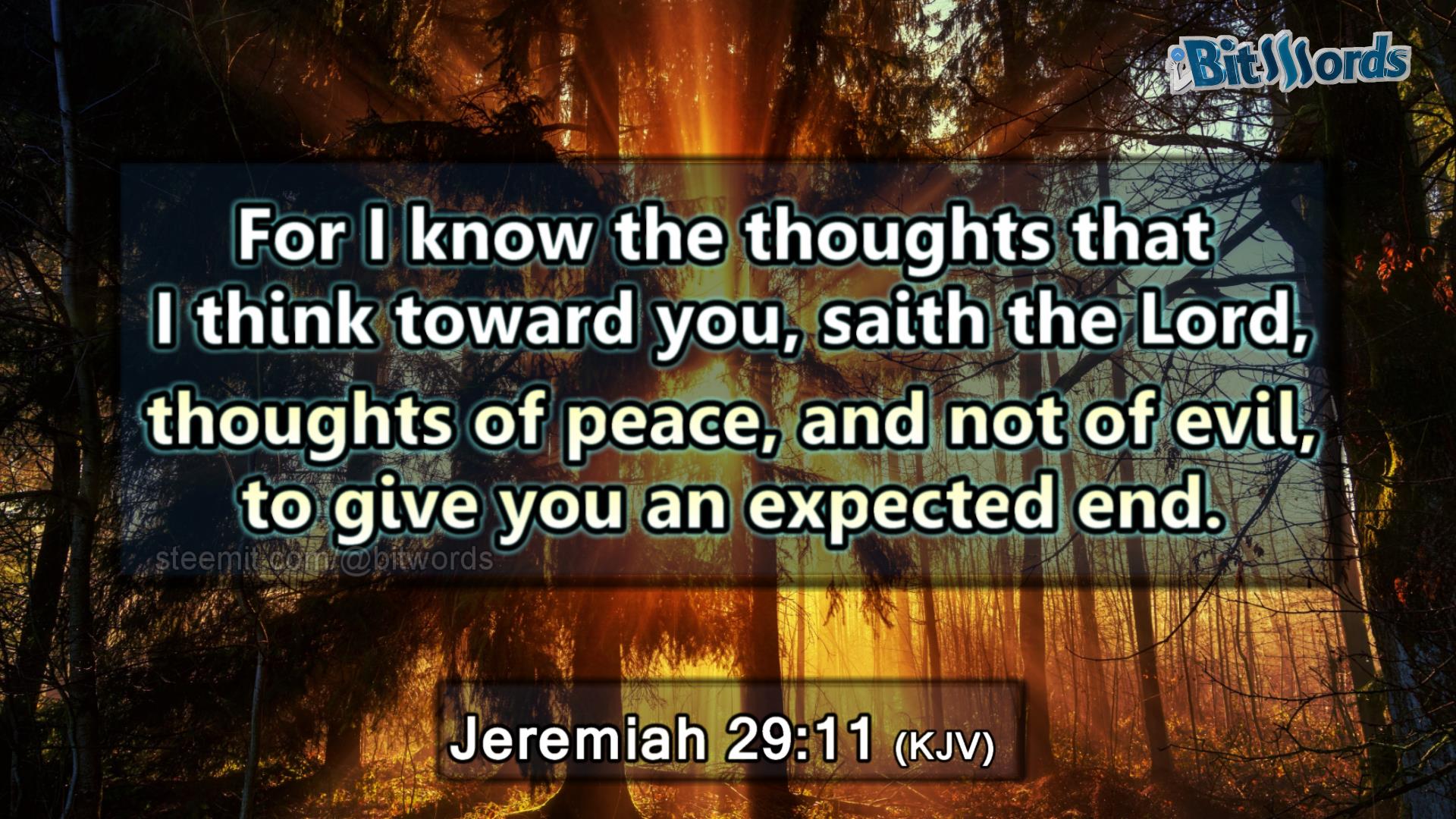 bitwords steemit bible verse of the day For I know the thoughts that I think toward you saith the Lord thoughts of peace and not of evil to give you an expected end Jeremiah 29 11.jpg