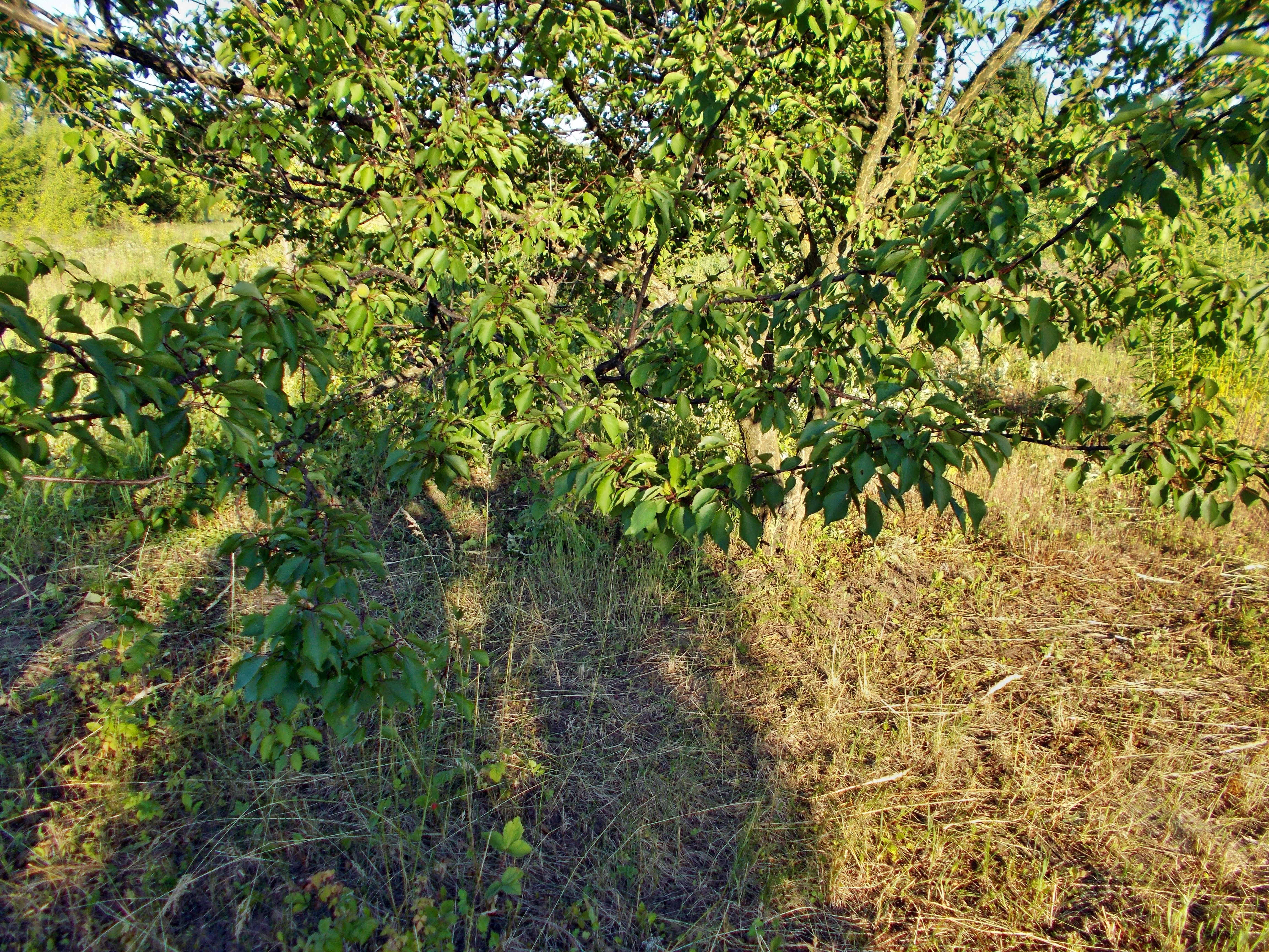 DSCN0941.JPG